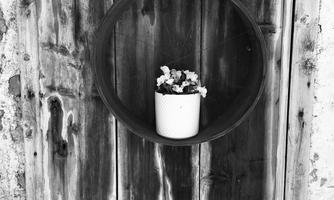 An old wooden door with a round opening, in which a flower pot stands. The door has a worn, rustic appearance.