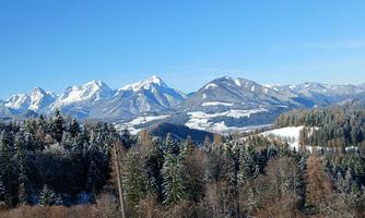 A wintry mountain landscape with snow-covered peaks and green coniferous forests. The sky is clear and blue.