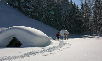A snowy landscape with tall, green fir trees and bright sunshine. A person is walking through the deep snow to a small tent.