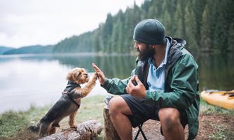 A man sits by the shore of a calm lake and plays with his dog. Both have a relaxed posture and enjoy nature.