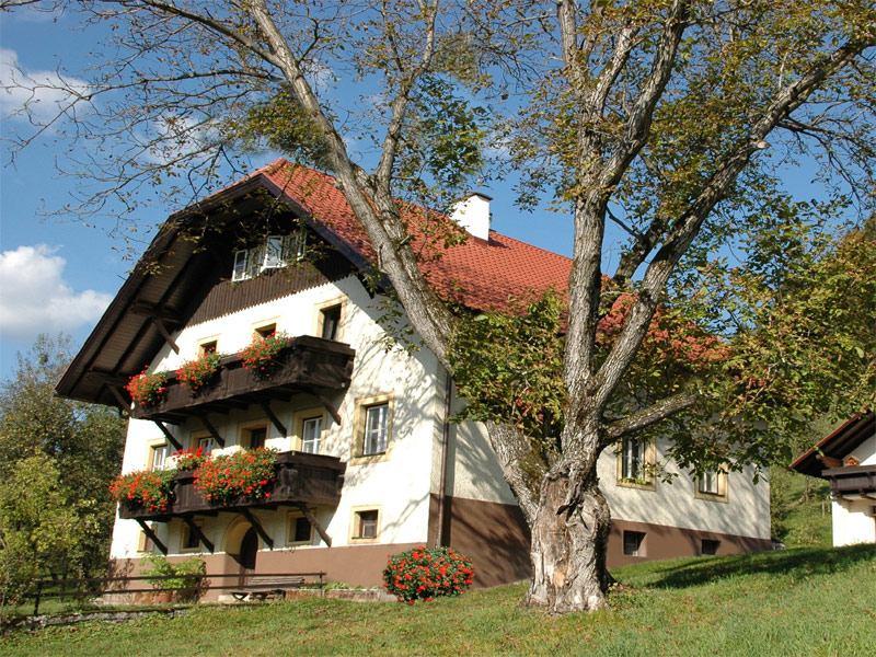 Bauer am Berg