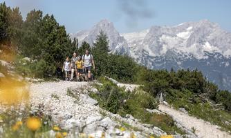A group of four people is hiking on a picturesque path in the mountains. In the background, majestic peaks and a green landscape can be seen.
