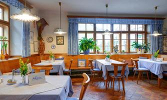 An inviting restaurant with bright tables and chairs. Large windows let in plenty of light, and plants create a pleasant atmosphere.