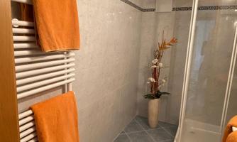 A modern bathroom with orange towels and a shower area. The walls are decorated with bright tiles and there is a plant for a cozy atmosphere.