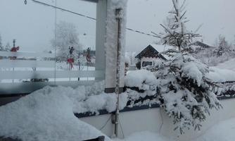 A snow-covered landscape with a thick layer of snow. In the background, trees and a house are visible.