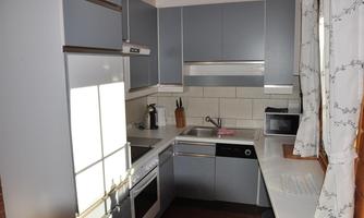 A modern kitchen with gray cabinets and basic appliances. The light falls through a window and illuminates the clean countertop.