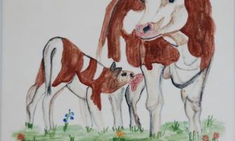 A cow with her calf stands in a meadow. There are some flowers in the background, and the cow has a brown and white pattern.