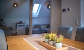 A beautifully set wooden dining table with a small plant bowl. In the background, a bright room with windows and cozy furnishings can be seen.