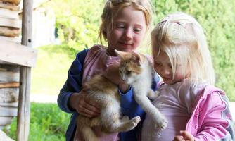Two girls are sitting outside holding a cat. They are smiling and enjoying the moment in nature.