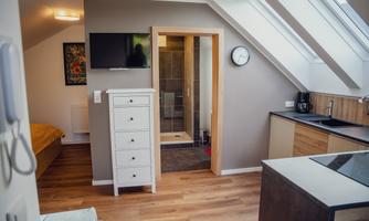 A modern room with a wardrobe, a small kitchenette, and a bathroom. Large windows provide plenty of daylight.