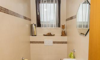 A modern bathroom with bright walls and a large mirror. It contains a toilet, a sink, and a small rug.