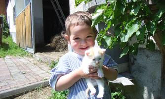A happy girl holds a small cat in her hands. In the background, you can see a rural setting with a barn.