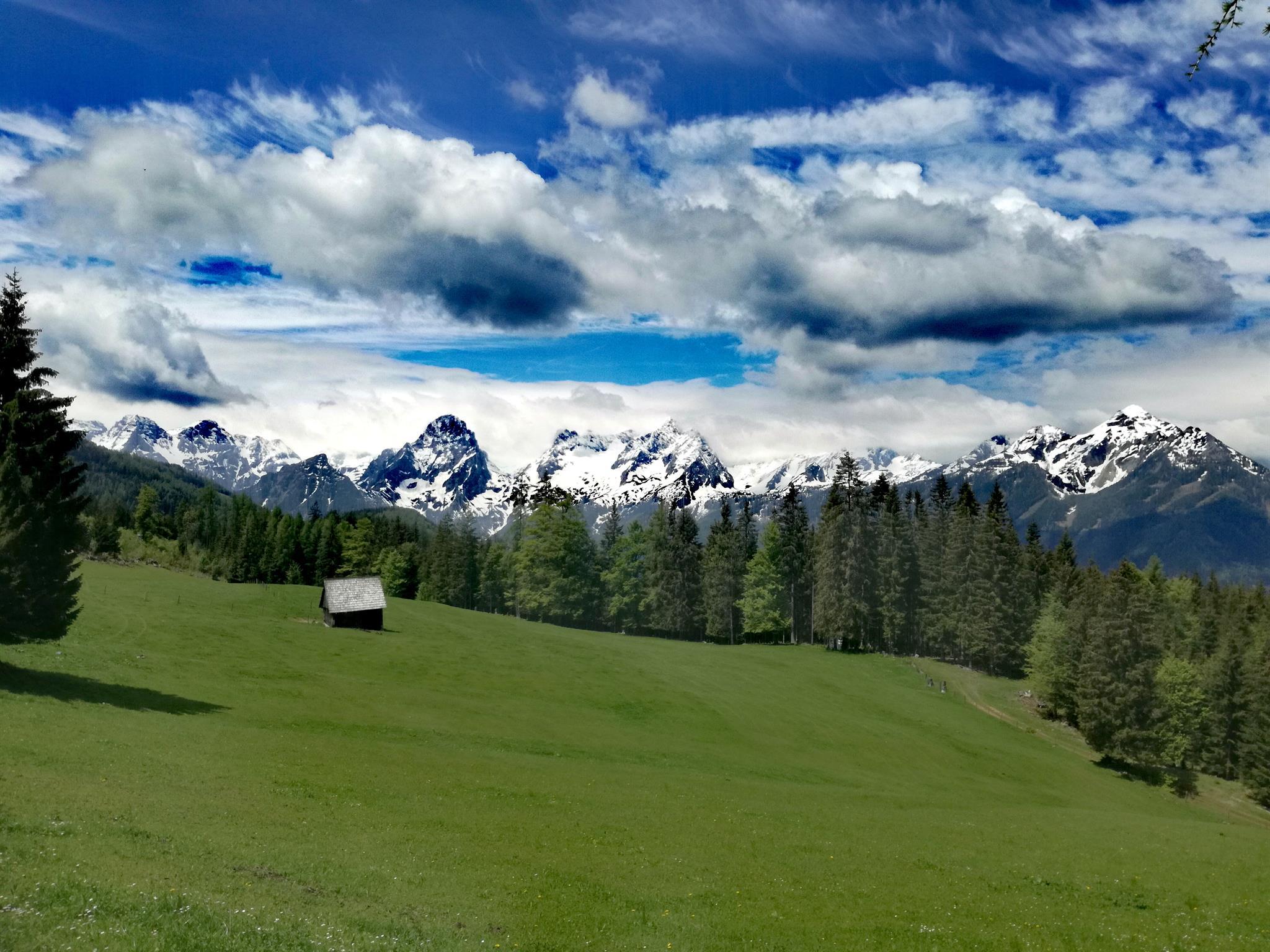 Kreilgut - Urlaub am Biobauernhof