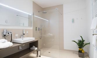 A modern bathroom with a glass shower and a stylish sink. The clear design and a plant give the room a fresh feel.