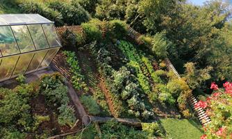 A lush vegetable garden with various plants and a greenhouse. The green landscape extends to a body of water in the background.