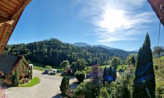 A picturesque view of green hills and forests under a clear blue sky. In the foreground, some flowers and a road are visible.