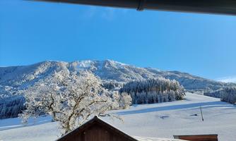A snowy winter landscape with snow-covered trees and mountains in the background. The sky is clear and blue.