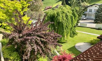 A beautiful garden with various trees and colorful plants. In the background, gentle hills and a bright building can be seen.