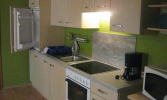 A modern kitchen with bright wood cabinets and green walls. Equipped with a stove, sink, refrigerator, and microwave.