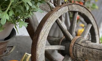 An old wooden wheel with colorful pumpkins and yellow flowers in the background. The scene conveys an autumnal atmosphere.