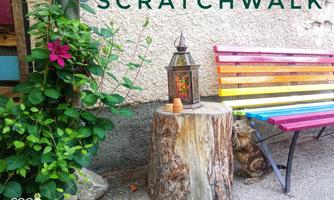 A colorful bench is next to a tree stump. There is also a lantern and a flower that make the area cozy.