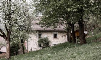 A cozy house situated amidst green meadows and blooming trees. The rural surroundings radiate tranquility and idyllic charm.