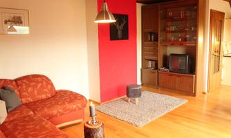 A cozy living room with a red sofa and a red accent wall. A rug lies on the floor, and there is a shelf with a television.