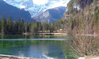 A tranquil lake surrounded by tall mountains and dense forests. The clear sky and snow-capped peaks create a picturesque landscape.