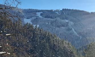 A snowy mountain landscape with dense, green forests. In the background, ski slopes are visible.