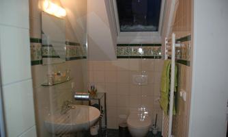 A small bathroom with a sink, a toilet, and a window. The walls are tiled, and a green shower is ready.