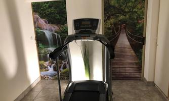 A room with a treadmill and decorative walls showing waterfalls and a bridge in nature. The atmosphere feels calming and inviting.