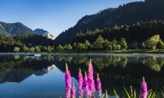 markisen schalter Homematic IP Beschattung Set | Klimaworld