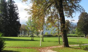 A quiet park with large trees and lush green grass. A path winds through the landscape, surrounded by gentle hills.
