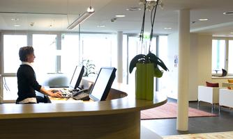 A reception area with a modern reception desk. One person is standing at the computer and working, while plants are decoratively placed in the background.