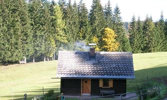 A cozy cabin in a green meadow, surrounded by tall fir trees. Smoke is rising from the chimney, indicating a warm fire inside.