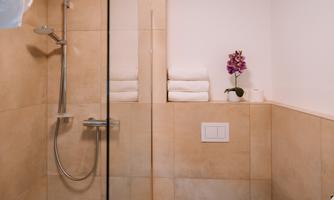 A modern bathroom with a glass shower.  
Soft towels and a lovely plant give the space an inviting atmosphere.