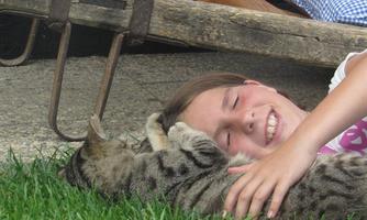 A girl is lying in the grass and smiling happily while playing with a cat. The cat is lying relaxed on the ground.