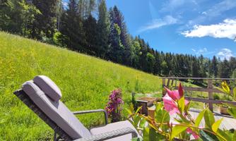A peaceful outdoor area with a lounge chair and colorful flowers. In the background, a green meadow and tall trees extend under a blue sky.