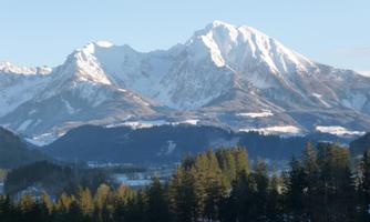 An impressive mountain landscape with snow-capped peaks and green forests in the foreground. The sky is clear and shines in a bright blue.