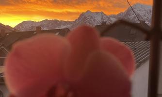 A pink orchid in the foreground, while a colorful sunset illuminates the mountainous landscape in the background. The clouds radiate in warm colors, creating a picturesque atmosphere.