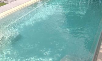 A clear swimming pool with sparkling water.  
Surrounded by grass and trees.