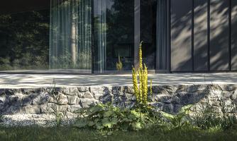 A modern house with large windows and a stone wall. In the foreground, a yellow flower is growing in green grass.
