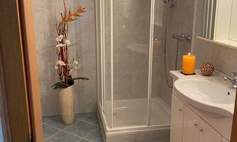 A modern bathroom with a shower cubicle and a sink. A plant and a candleholder create a cozy atmosphere.