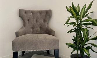 An elegant chair with a curved backrest stands next to a potted plant. The chair is on a soft carpet in a bright room.