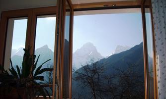 A window view of majestic mountains and a clear sky. In the foreground, plants and branches are visible.