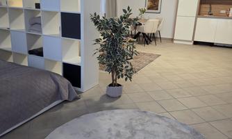 A modern apartment with an open living area. In the foreground, there is a round rug and a plant next to a bed and a shelf.