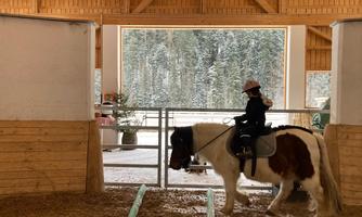 A child is riding a pony in an indoor riding arena. In the background, snow-covered trees can be seen.