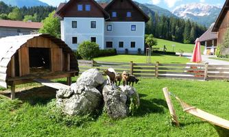 An idyllic farm with a meadow and a small wooden shed. Two goats are standing on a rock and enjoying the view.