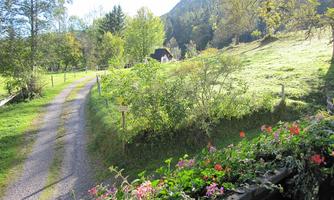 A picturesque path winds through a green landscape filled with trees and bushes. Colorful flowers line the path, creating an inviting atmosphere.