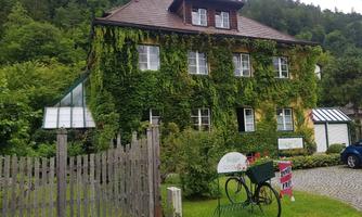 A charming, ivy-covered house surrounded by trees. In the foreground stands a bicycle and a sign.